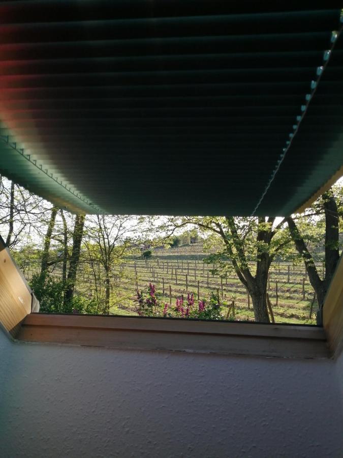 Pilikan Apartments - Park, Agroturism, Vineyard & Farm Cserszegtomaj Bagian luar foto