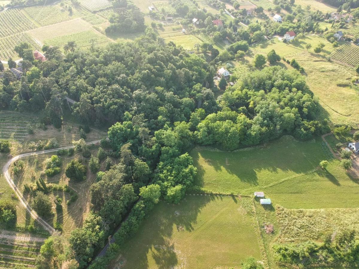 Pilikan Apartments - Park, Agroturism, Vineyard & Farm Cserszegtomaj Bagian luar foto