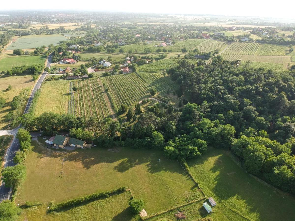 Pilikan Apartments - Park, Agroturism, Vineyard & Farm Cserszegtomaj Bagian luar foto
