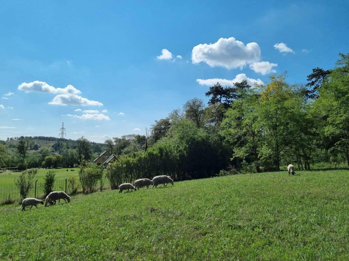 Pilikan Apartments - Park, Agroturism, Vineyard & Farm Cserszegtomaj Bagian luar foto