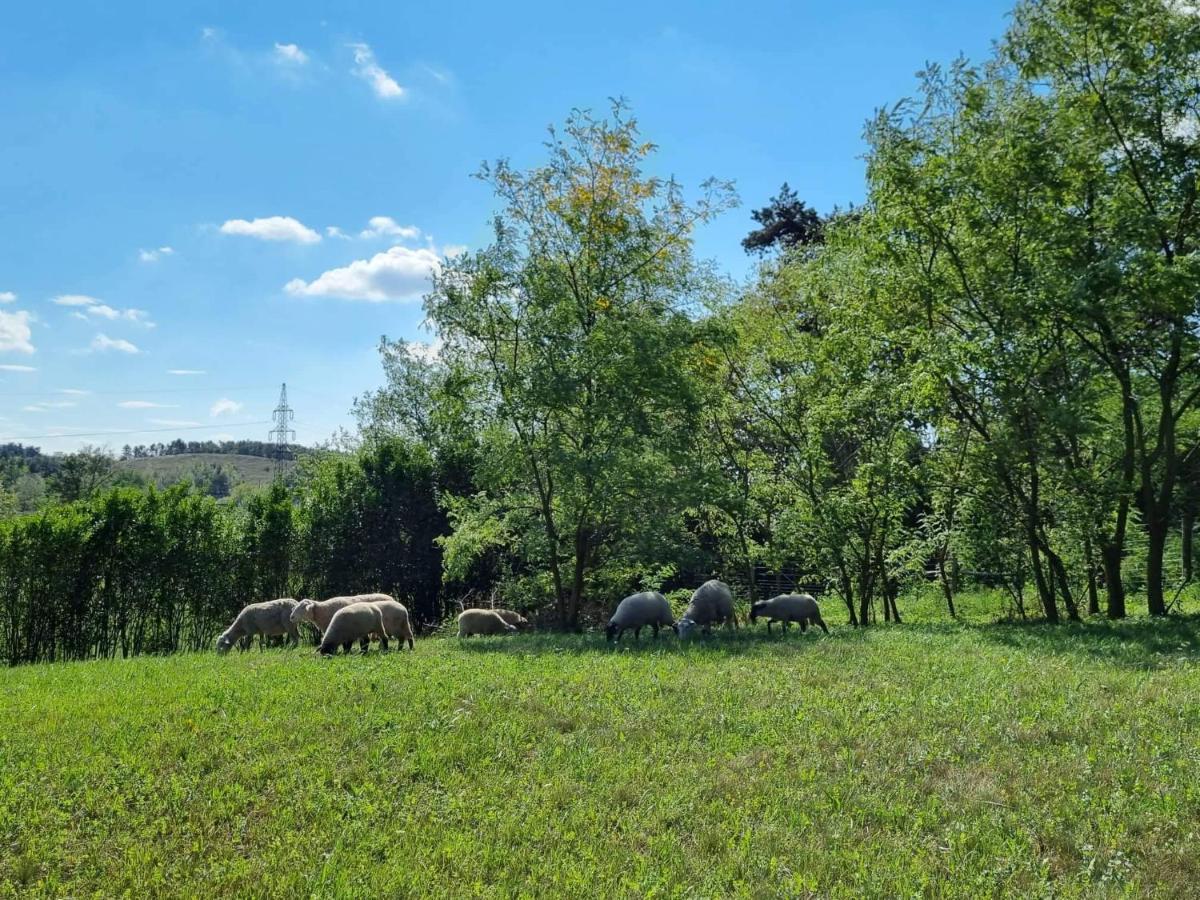 Pilikan Apartments - Park, Agroturism, Vineyard & Farm Cserszegtomaj Bagian luar foto